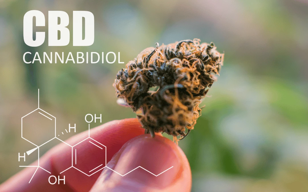  Upclose Of A Finger Holding Up Cannabis With Copy And Chemical Structure Of Cannabidoil
